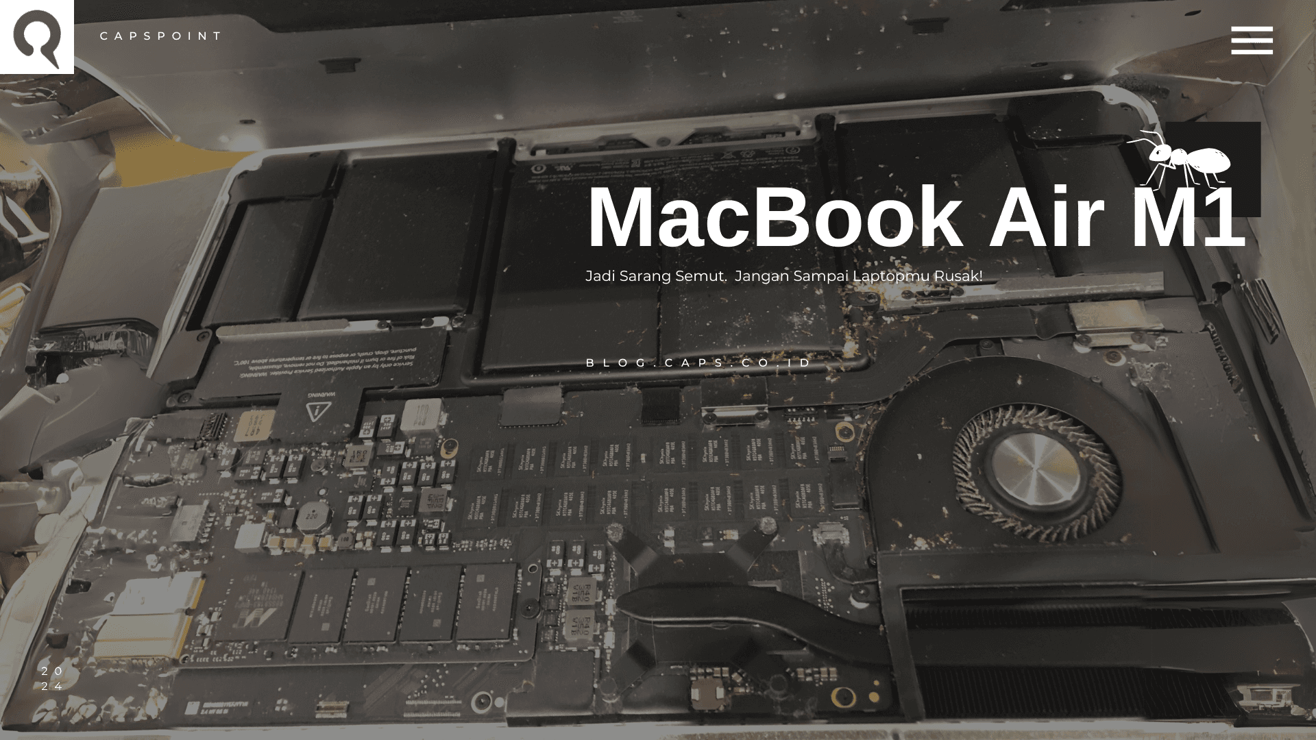 MacBook Air M1 Jadi Sarang Semut, Jangan Sampai Laptopmu Rusak!