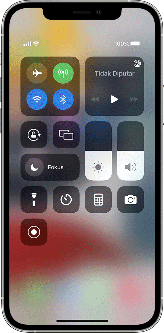 Cara menghentikan mode rekam layar iPhone