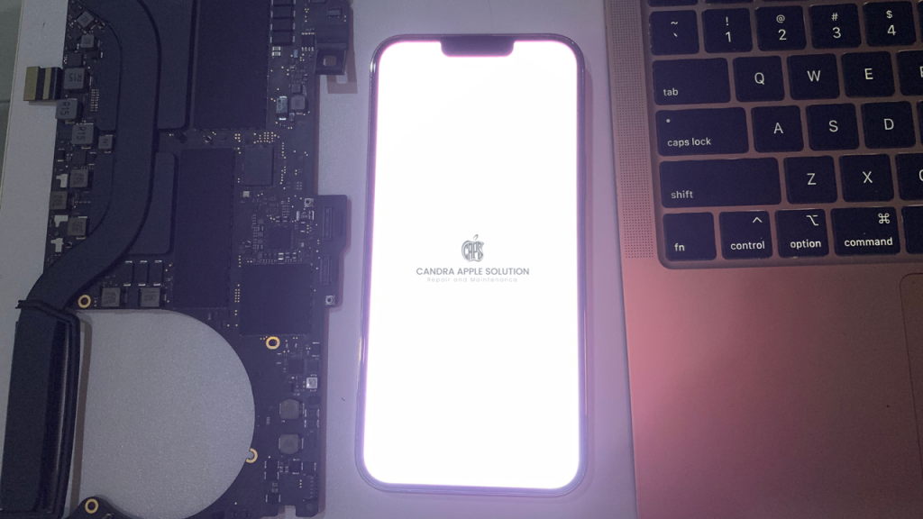 iPhone 13 Pro White Screen