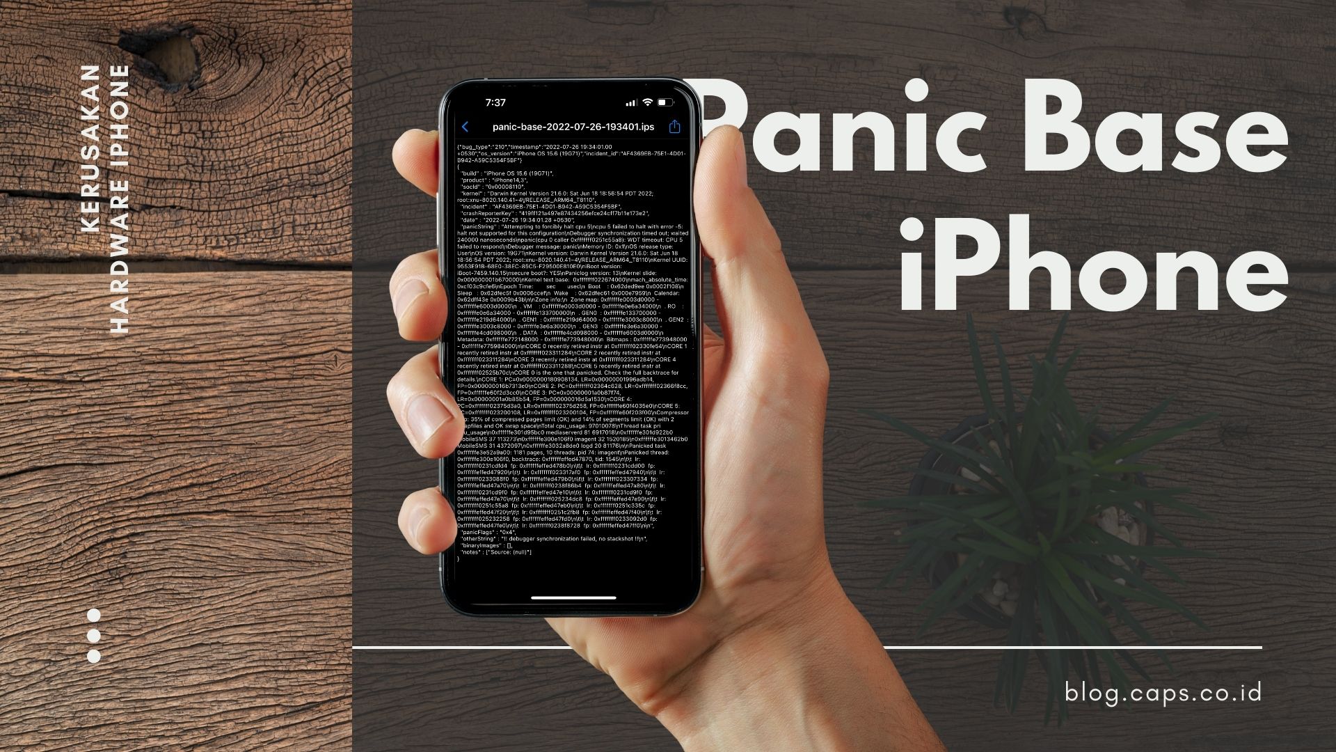 Panic-base & Panic-full iPhone Apa itu dan Apa yang Harus Dilakukan