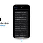 Panduan Membaca Data Analisis iPhone