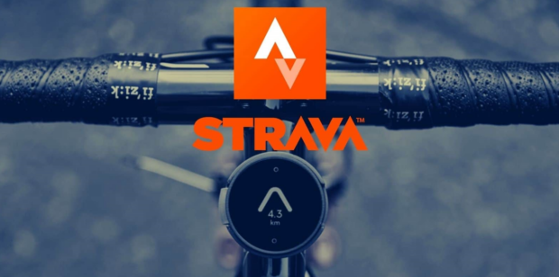 Strava Year in Sport Trend Report 2024