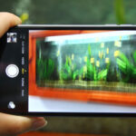 Kamera iPhone Geter